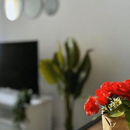 Cosy Palm Beach, Studio Pres De La Mer Et De La Croisette Cannes Bagian luar foto